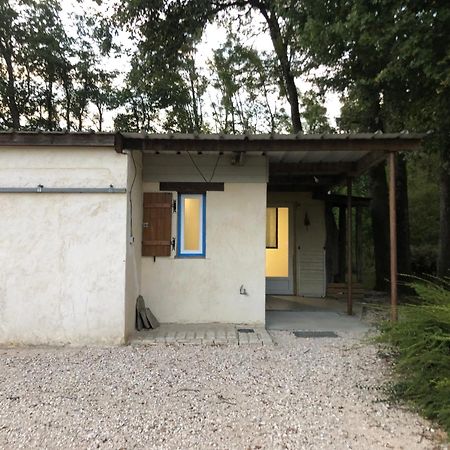 Gite De La Fontaine Bondree Vernou-sur-Brenne Exterior foto